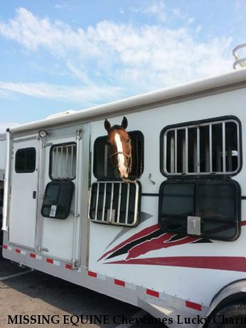MISSING EQUINE Cheyennes Lucky Charm, Near Taylorsville, KY, 40071